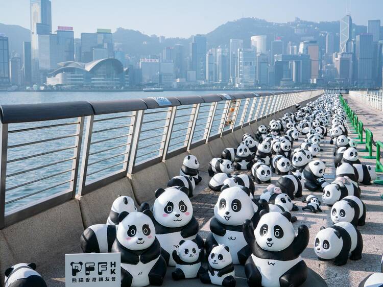 AllRightsReserved「Panda Go！香港遊」熊貓展覽2024