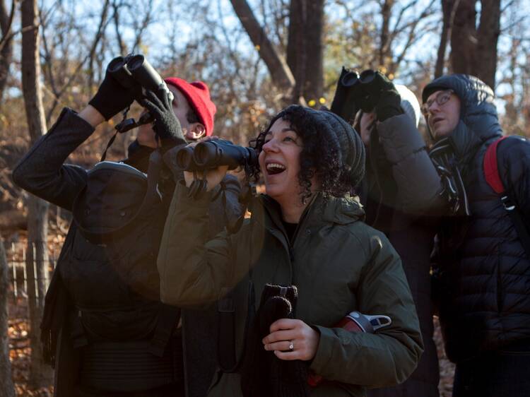 The 125th Christmas Bird Count