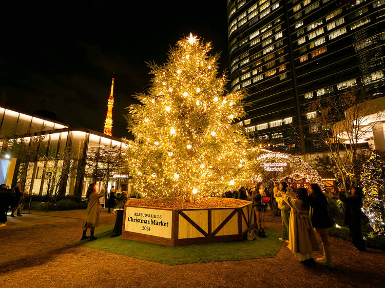 Marvel at a beautiful Christmas tree