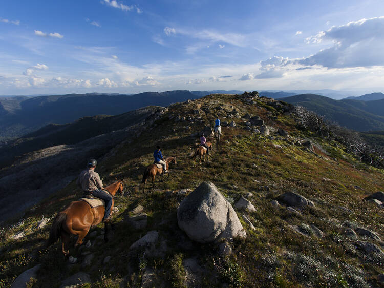 Horse riding at Mount Stirling.