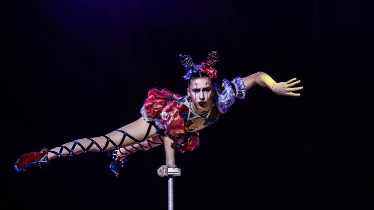 Meninos e meninas, o Circo de Natal do Coliseu Porto está de regresso à cidade
