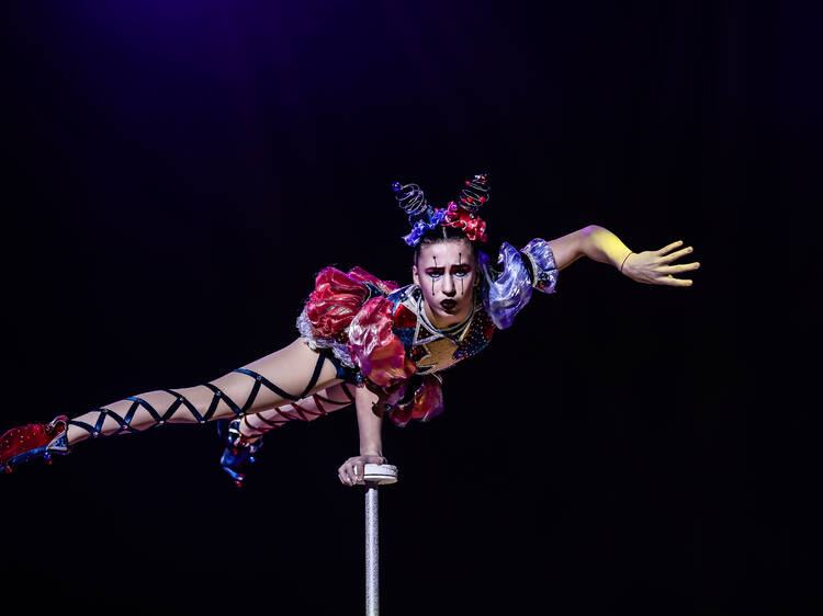 Meninos e meninas, o Circo de Natal do Coliseu Porto está de regresso à cidade