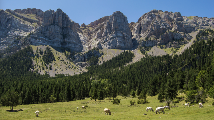 La Serra del Cadí, un dels rebosts de Catalunya 