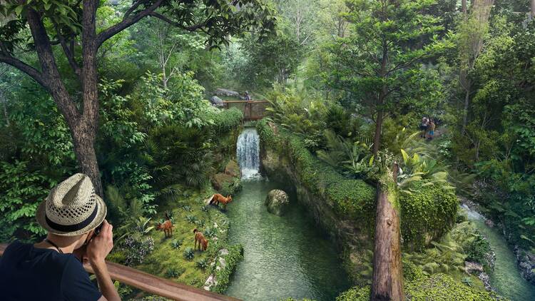 Go on a wildlife-spotting adventure at a sprawling new rainforest park