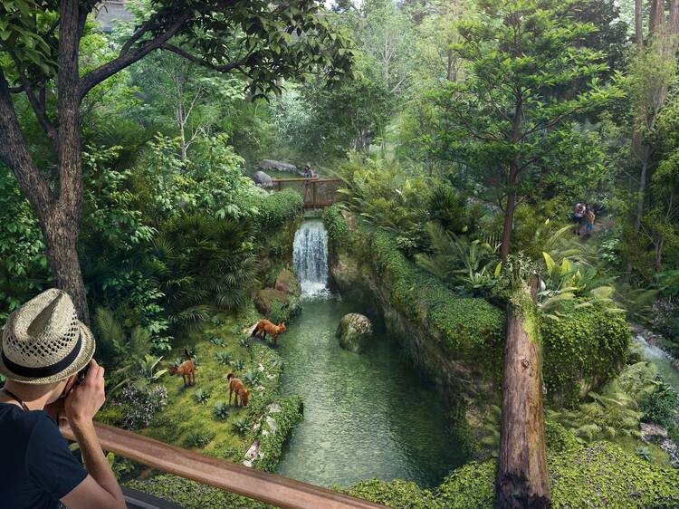 Go on a wildlife-spotting adventure at a sprawling new rainforest park