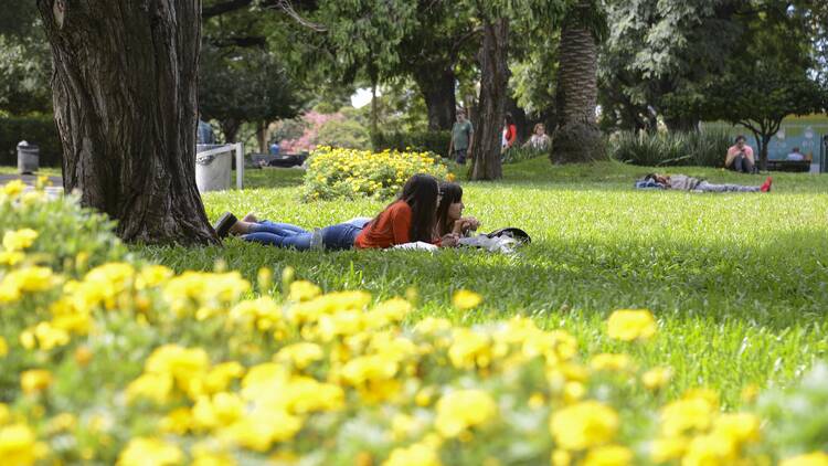 Parque Tres de Febrero in CABA