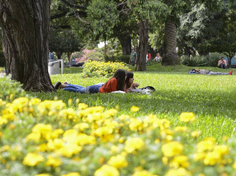 Parque Tres de Febrero in CABA