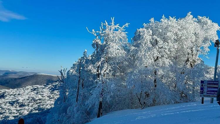 Belleayre Mountain, Catskill Park, New York