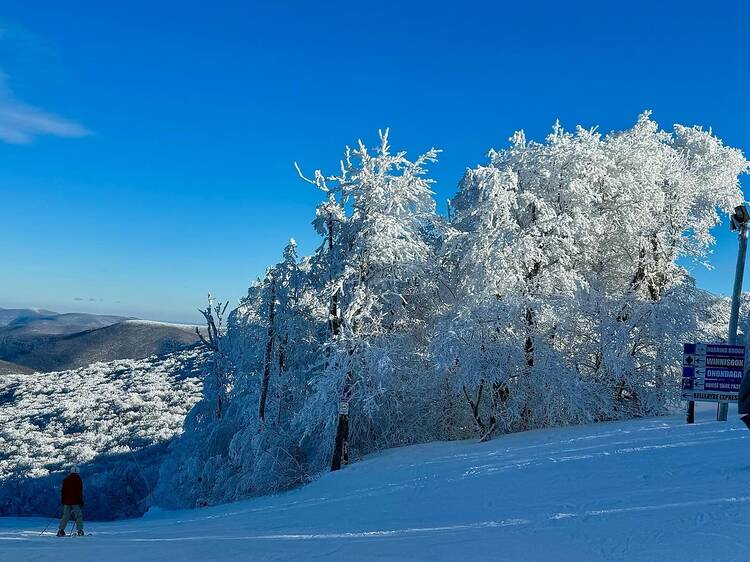 Belleayre Mountain, Catskill Park, New York