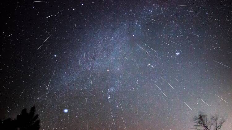 Geminid Meteor Shower