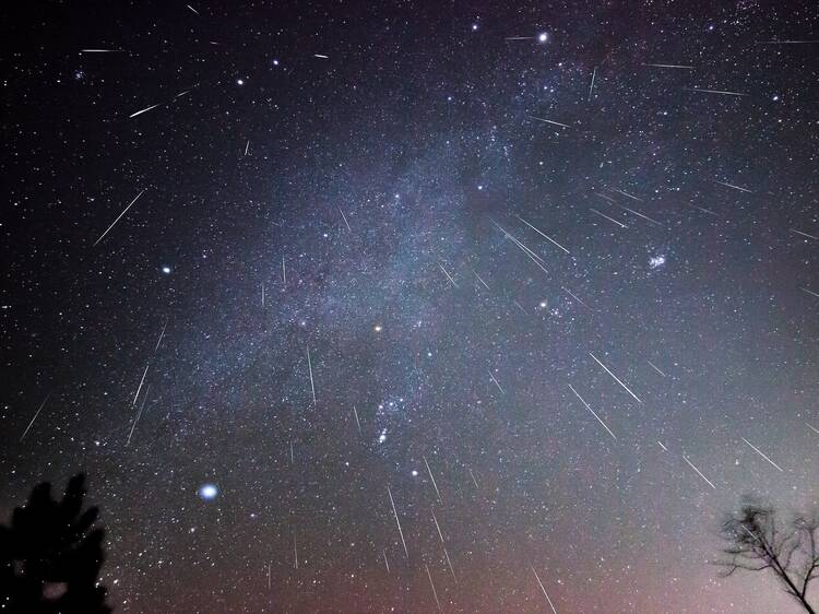 Geminid meteor shower 2024: everything to know about this year's meteor shower