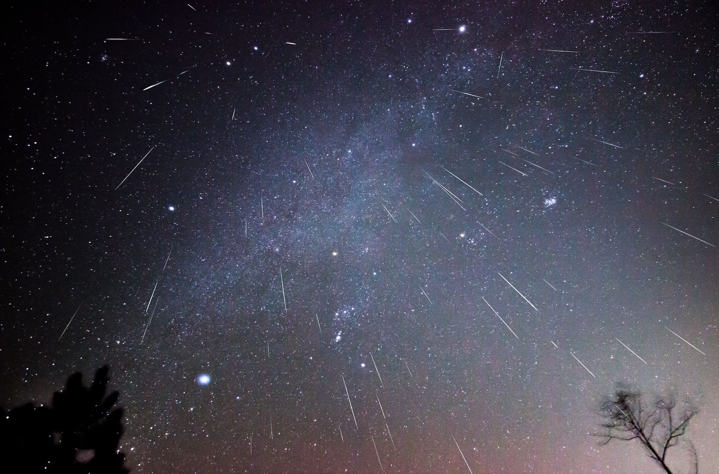 When and Where to See the Meteor Shower