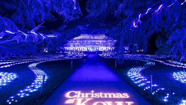 Blue carpets of light leading up to the Temperate House at Kew Gardens, with 'Christmas at Kew’ logo on the path