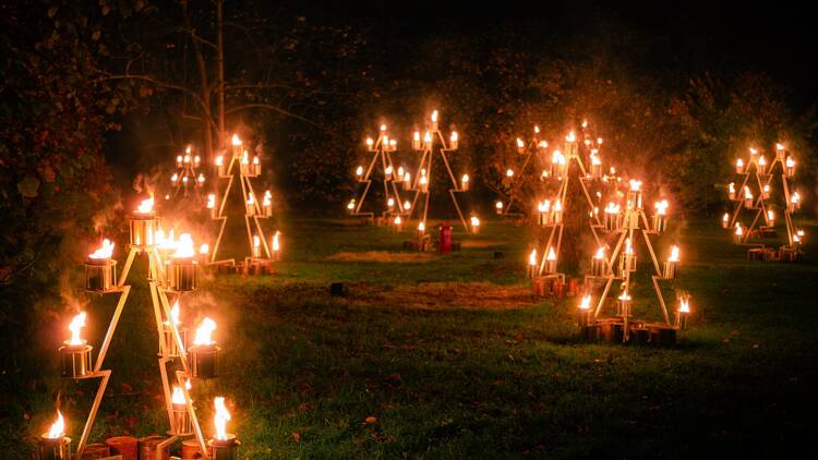 A field of wooden Christmas tree structures decorated with lit candles