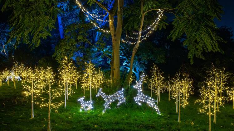 Three jumping reindeer made of white lights jump through a forest of young trees illuminated with yellow lights