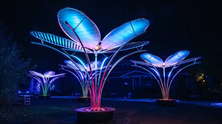 Four large flower-like structures illuminated with blue and purple light stand in a dark field