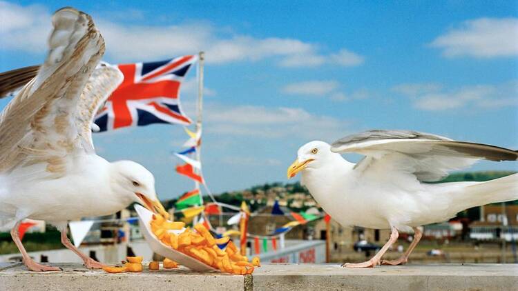 I Am Martin Parr