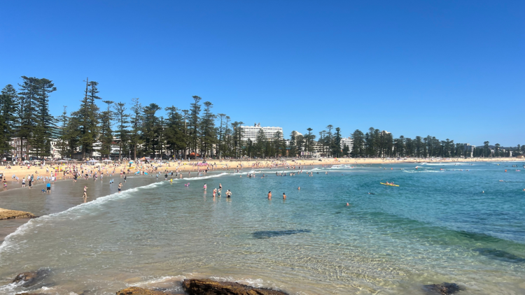 Manly Beach