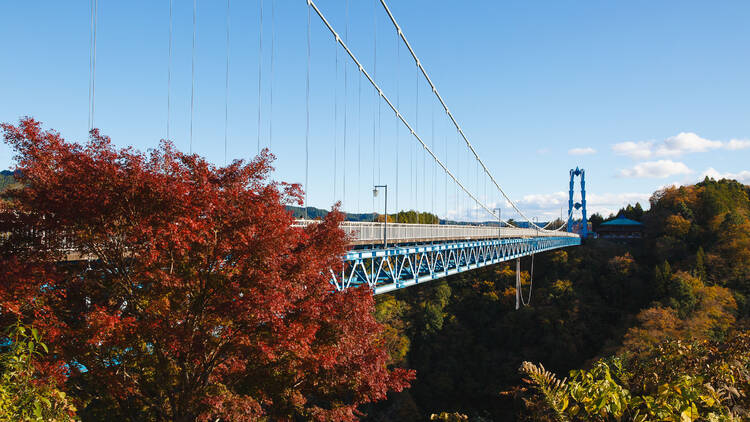 Visit the spectacular Ryujin Suspension Bridge