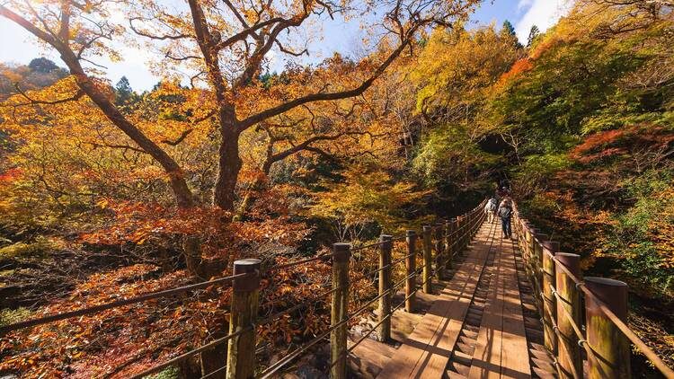 Stroll through picturesque Hananuki Gorge