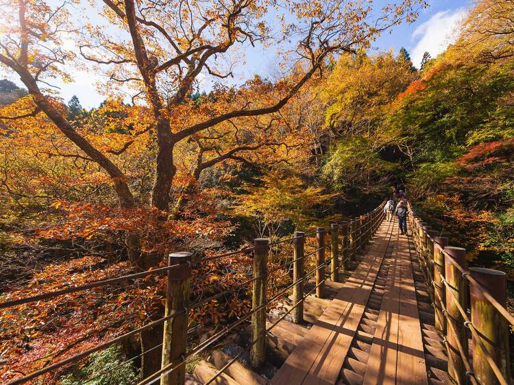 Stroll through picturesque Hananuki Gorge