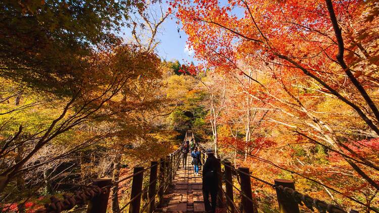 Hananuki Gorge