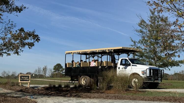 Safari truck moving along a road at the Georgia Safari Conservation Park