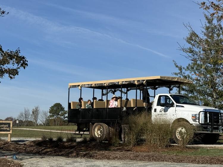 This Atlanta safari gave me a taste of Africa minus the price tag