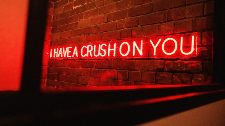 A neon sign that reads I have a crush on you