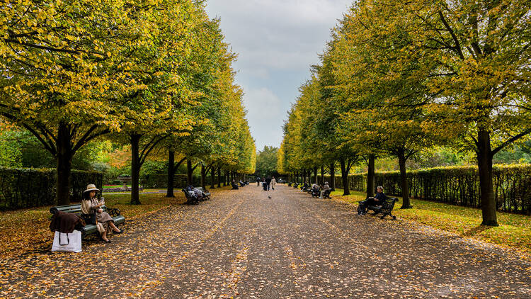 Hang out in London's stunning parks