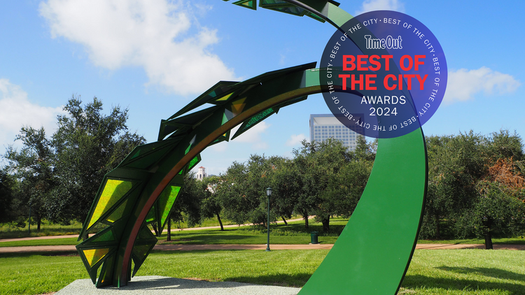 Best Public Artwork of the Year: Canopy by Anthony Suber, Houston