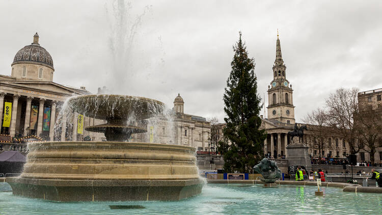 Trafalgar Square Christmas Tree