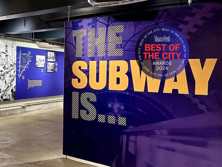 Best Exhibition of the Year: The Subway Is