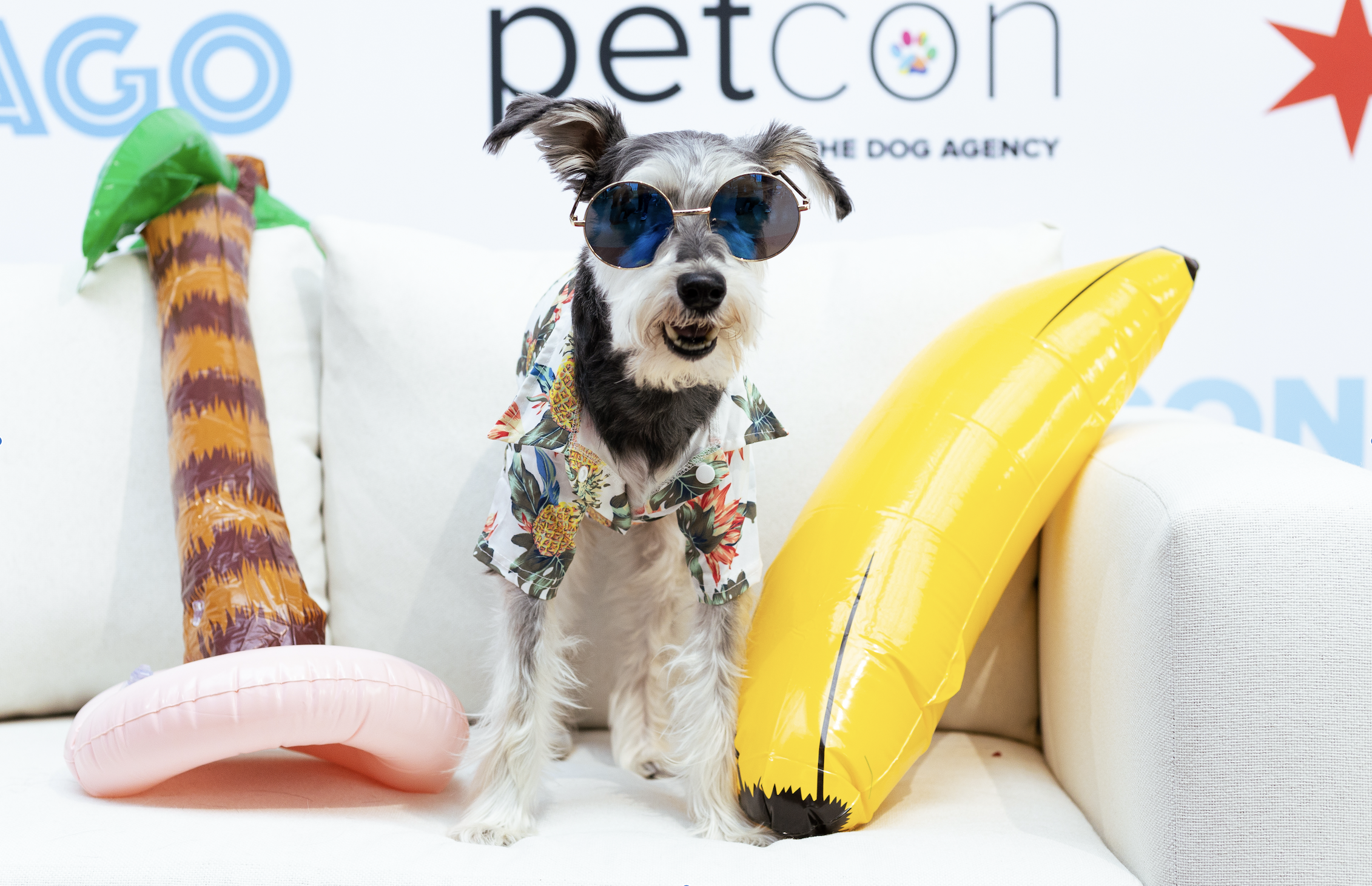 PetCon Things to do in Los Angeles