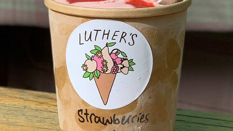 Luther's Scoops