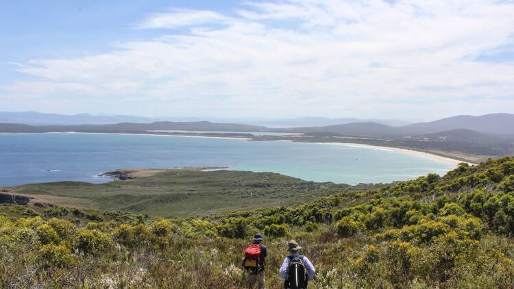 Hike the East Cloudy Head Track