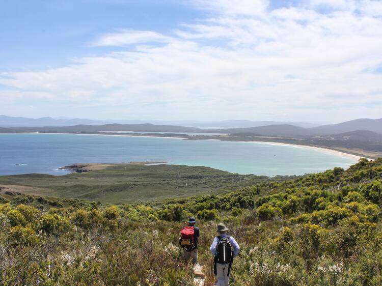 Hike the East Cloudy Head Track