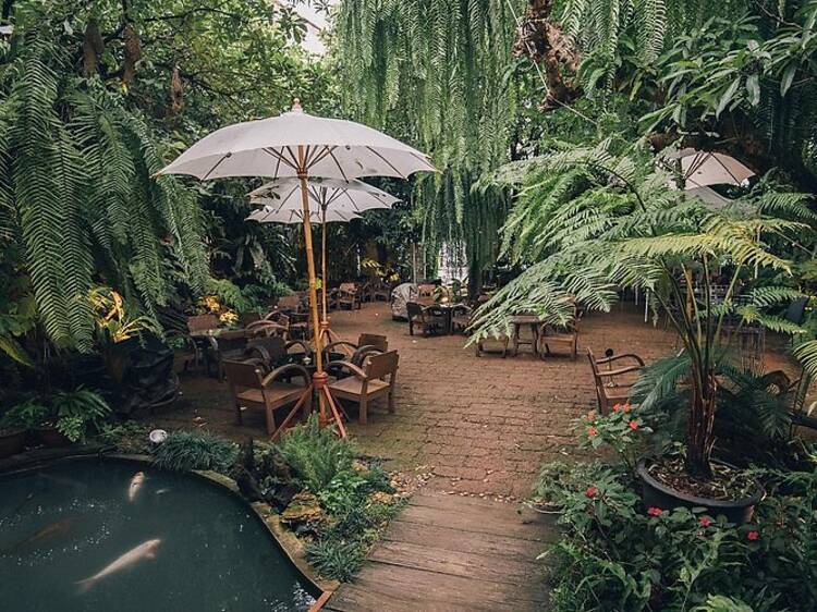 Fern Forest Cafe