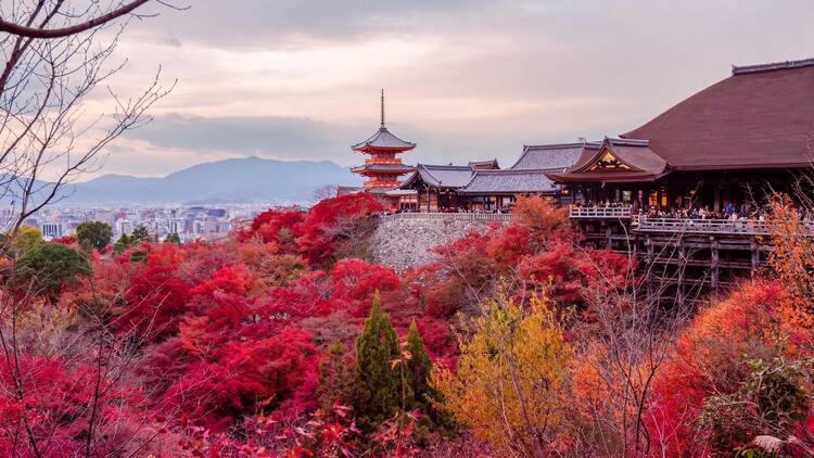 Kyoto, Japan