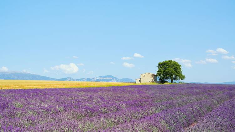 Provence, France