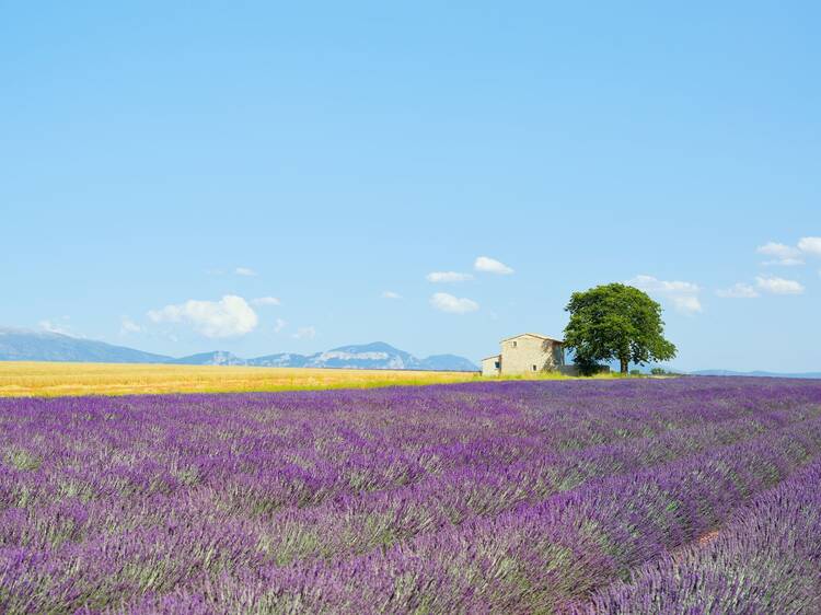 Provence, France