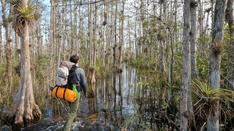 Lose yourself in nature at the best hiking spots in Miami