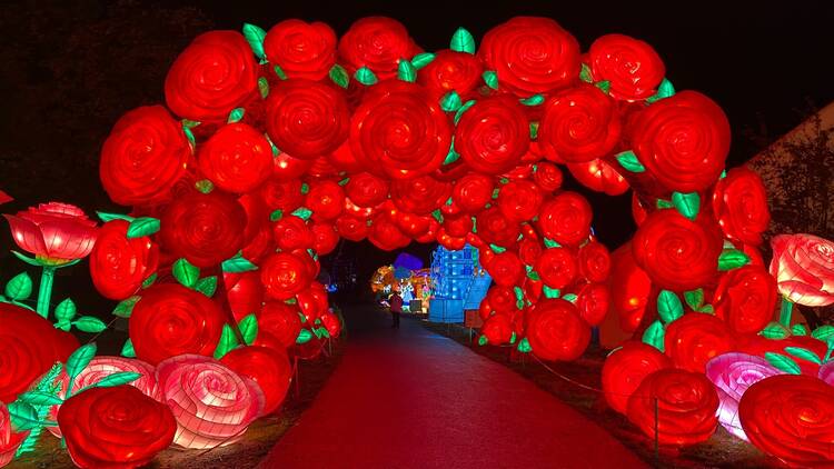 The rose arch at Lektrik: A Festival of Lights