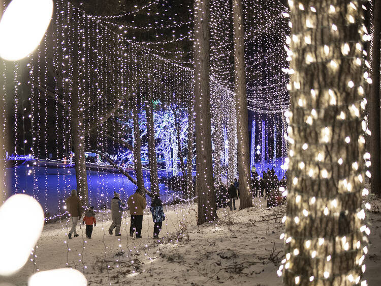 The best Christmas light displays in the U.S.