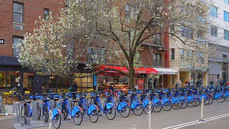 Citi Bikes in NYC