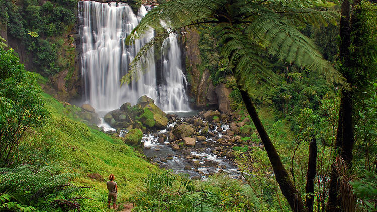 Marokopa Falls in the Waikato region, New Zealand