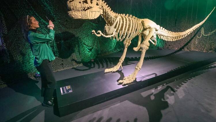 Impressive sculptures built from Lego bricks like this T-Rex will be on display at Art of the Brick.