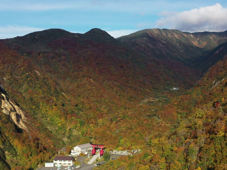 Exploring Japan’s nature