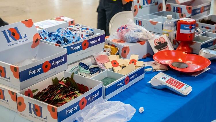 Poppy Appeal in London