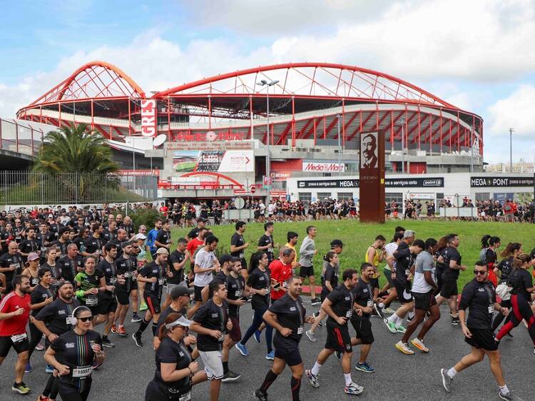 Corrida Benfica António Leitão